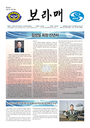 보라매 96호